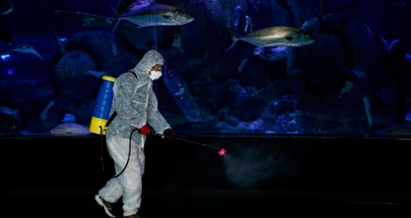 الرئاسة التركية تدعو للالتزام بالتدابير بدلًا من التشاؤم