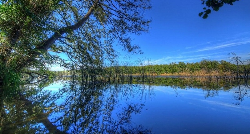 قرقلار إيلي التركية.. متعة التجوّل وسط غابات “اللونغوز”