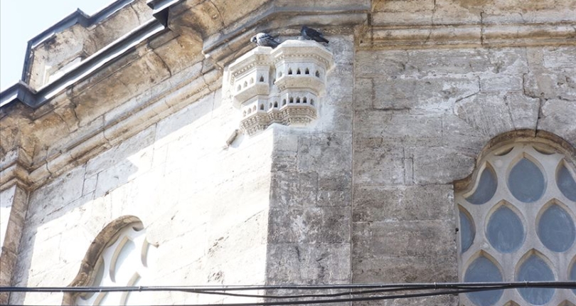 “قصور الطيور”.. ثقافة عثمانية متوارثة رفقا بالحيوان